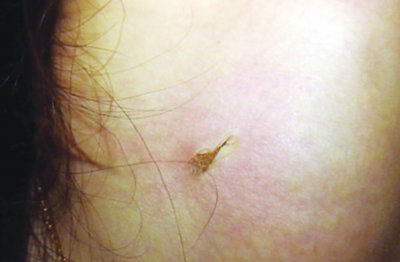 Ů��KTV������Ͳ���豻��û����鴤(��ͼ)