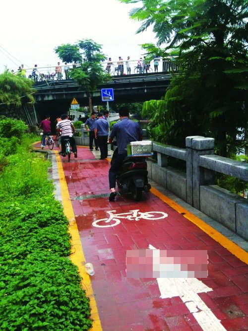 ������������ʬ �α��������������ƻغ���